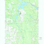 United States Geological Survey Lake Winyah, MI (1971, 24000-Scale) digital map