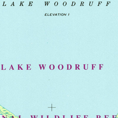 United States Geological Survey Lake Woodruff, FL (1962, 24000-Scale) digital map