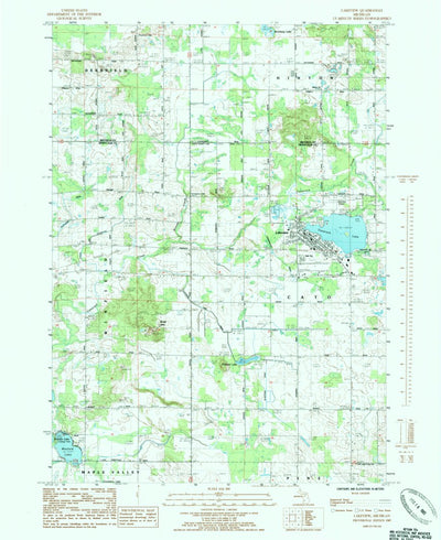 United States Geological Survey Lakeview, MI (1985, 24000-Scale) digital map