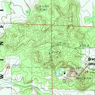 United States Geological Survey Lakeview, MI (1985, 24000-Scale) digital map