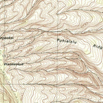 United States Geological Survey Lanai South, HI (1984, 25000-Scale) digital map