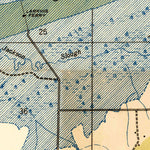 United States Geological Survey Langston, AL (1936, 24000-Scale) digital map