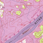 United States Geological Survey Laniers, AL (1951, 24000-Scale) digital map
