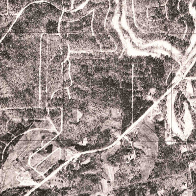 United States Geological Survey Laniers, AL (1975, 24000-Scale) digital map