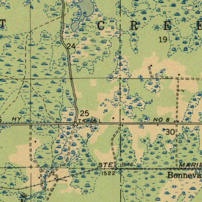United States Geological Survey Laona, WI (1946, 48000-Scale) digital map