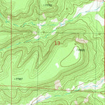 United States Geological Survey Largo Mesa, NM (1981, 24000-Scale) digital map