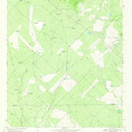 United States Geological Survey Las Flores, TX (1969, 24000-Scale) digital map