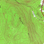 United States Geological Survey Lassellsville, NY (1945, 24000-Scale) digital map