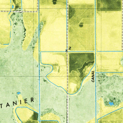 United States Geological Survey Latanier Bayou, LA (1979, 24000-Scale) digital map