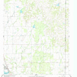 United States Geological Survey Lawn, TX (1967, 24000-Scale) digital map