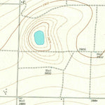 United States Geological Survey Lazbuddie SW, TX (1963, 24000-Scale) digital map