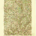 United States Geological Survey Le Raysville, PA-NY (1945, 62500-Scale) digital map