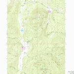 United States Geological Survey Leadpoint, WA (1952, 24000-Scale) digital map