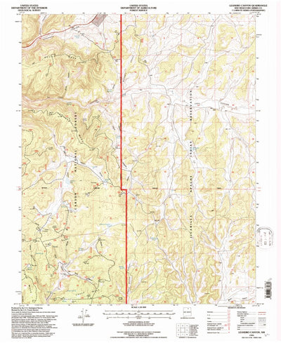 United States Geological Survey Leandro Canyon, NM (1995, 24000-Scale) digital map