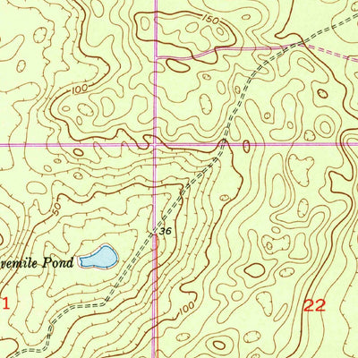 United States Geological Survey Lecanto, FL (1954, 24000-Scale) digital map