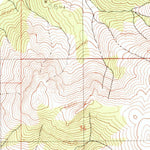 United States Geological Survey Lee Peak, NV (1990, 24000-Scale) digital map