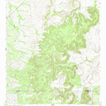 United States Geological Survey Leeper Creek, TX (1965, 24000-Scale) digital map