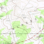 United States Geological Survey Lees, TX (1971, 24000-Scale) digital map