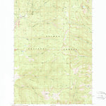 United States Geological Survey Leesburg, ID (1989, 24000-Scale) digital map