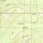 United States Geological Survey Leesburg, ID (1989, 24000-Scale) digital map