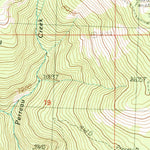 United States Geological Survey Leesburg, ID (1989, 24000-Scale) digital map