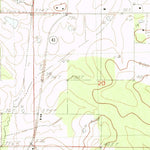 United States Geological Survey Leesburg, MS (1982, 24000-Scale) digital map