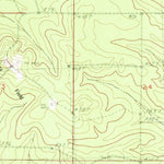 United States Geological Survey Leesburg, MS (1982, 24000-Scale) digital map