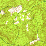 United States Geological Survey Leesburg, SC (1953, 24000-Scale) digital map