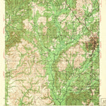 United States Geological Survey Leesville, LA (1943, 62500-Scale) digital map