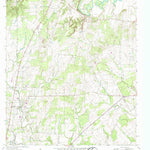 United States Geological Survey Leesville, TX (1962, 24000-Scale) digital map