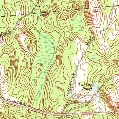 United States Geological Survey Leicester, MA (1969, 24000-Scale) digital map