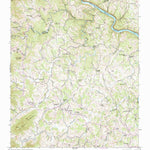 United States Geological Survey Leicester, NC (1942, 24000-Scale) digital map