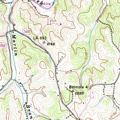 United States Geological Survey Leicester, NC (1942, 24000-Scale) digital map