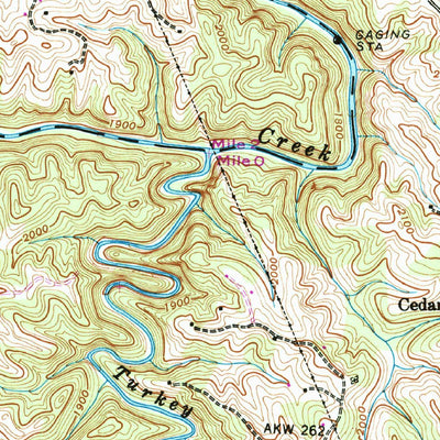 United States Geological Survey Leicester, NC (1942, 24000-Scale) digital map