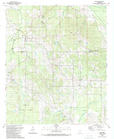 United States Geological Survey Lena, MS (1989, 24000-Scale) digital map