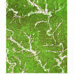 United States Geological Survey Lesterville, MO (1943, 62500-Scale) digital map