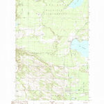 United States Geological Survey Levering, MI (1982, 25000-Scale) digital map