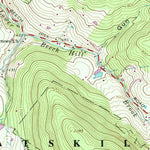 United States Geological Survey Lewbeach, NY (1965, 24000-Scale) digital map