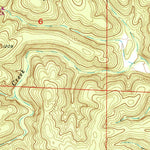 United States Geological Survey Lewis Hollow, MO (1951, 24000-Scale) digital map