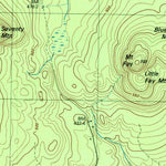 United States Geological Survey Lewis, NY (1978, 25000-Scale) digital map