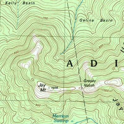 United States Geological Survey Lewis, NY (1999, 25000-Scale) digital map