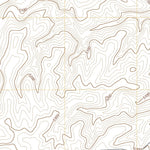 United States Geological Survey Lewis Peak NE, NM (2023, 24000-Scale) digital map