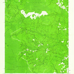 United States Geological Survey Lewis Swamp, NC (1943, 24000-Scale) digital map