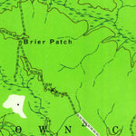 United States Geological Survey Lewis Swamp, NC (1943, 24000-Scale) digital map