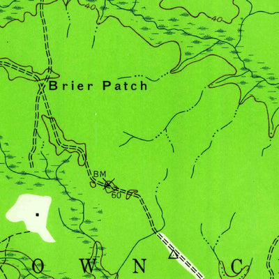United States Geological Survey Lewis Swamp, NC (1943, 24000-Scale) digital map