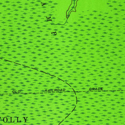 United States Geological Survey Lewis Swamp, NC (1943, 24000-Scale) digital map