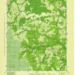 United States Geological Survey Lewis Swamp, NC (1944, 31680-Scale) digital map