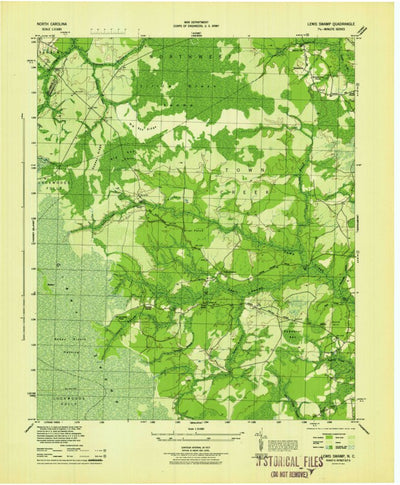United States Geological Survey Lewis Swamp, NC (1944, 31680-Scale) digital map