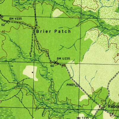 United States Geological Survey Lewis Swamp, NC (1944, 31680-Scale) digital map