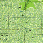 United States Geological Survey Lewis Swamp, NC (1944, 31680-Scale) digital map